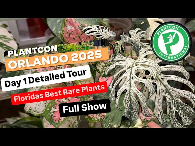 Plant Con 2025 Orlando Florida Full Show Rare Plants Variegated Plants Costa Farms Day 1 Recap