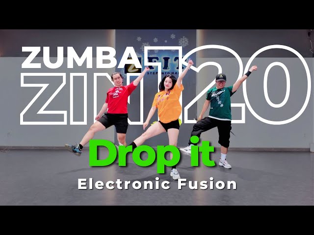 Drop It | ZIN Volume 120 | Electronic Fusion | 2bZ Crew