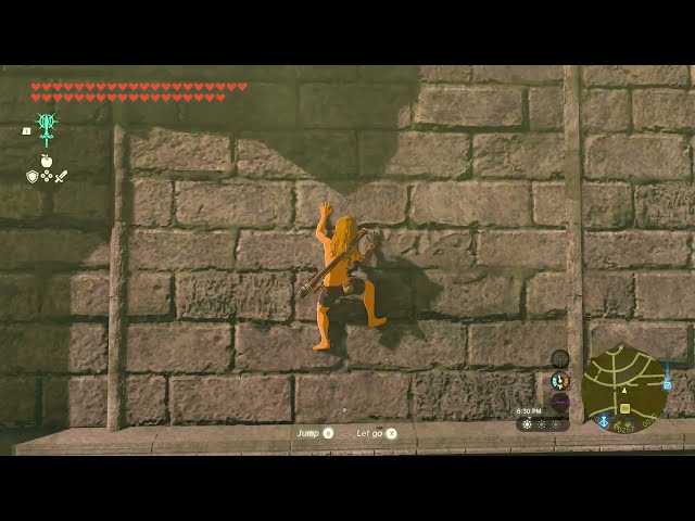 Climb Animation Reference | Zelda TOTK