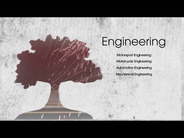 Foundation Year in STEM (Science, Technology, Engineering and Mathematics)