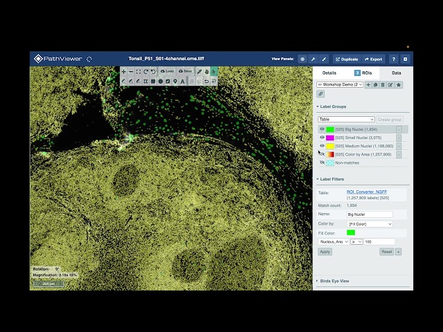 Advanced data mining in PathViewer