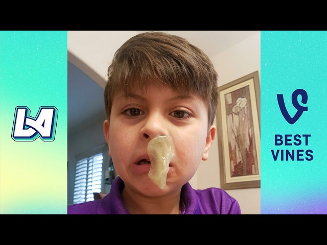 TRY NOT TO LAUGH 🤫 Top 100 Crazy Funny Videos 2026