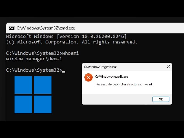 Running Programs as DWM-1 and UMFD-0