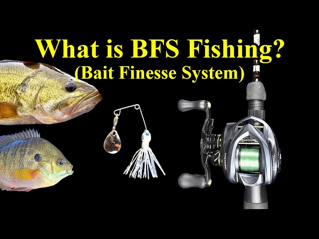 Basics of BFS (Bait Finesse System) Fishing - Ultralight Baitcasting