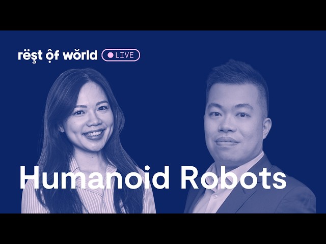 Humanoid Robots: Breakthrough or Bubble?