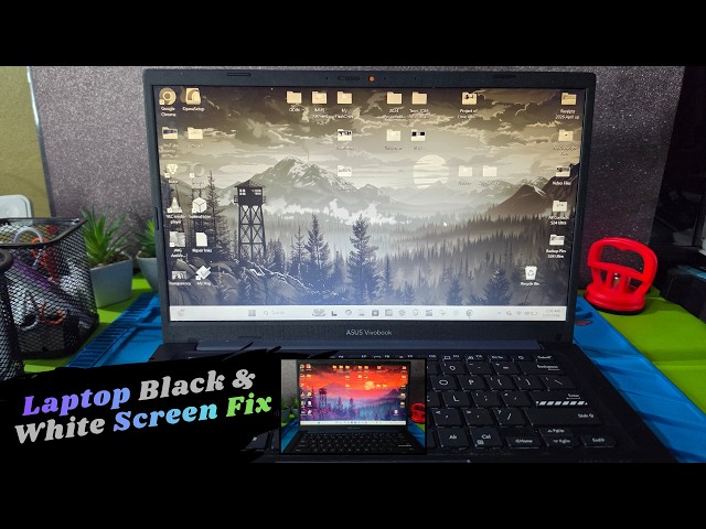 Laptop display Black and White Windows 11 Fix