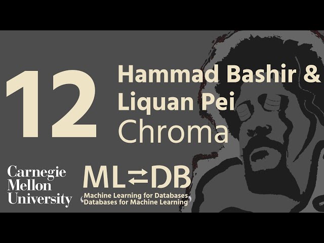 Chroma Vector Database: Retrieval for LLMs (Hammad Bashir + Liquan Pei)