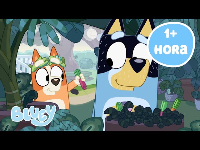 🔴EN VIVO: Ambiente acogedor con Bluey | Bluey