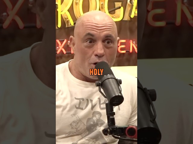 Joe Rogan Watched Mikki Mase Exposing Casino For Cheating