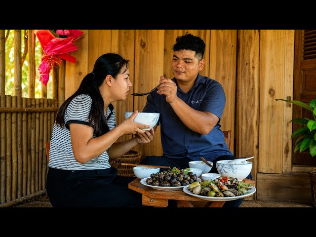 Tu Cam is pregnant, and Nam catches apple snails every day to nourish her health.