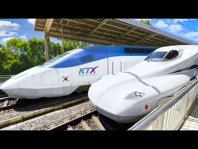 한일 최장 루트 횡단! 신칸센과 페리로 떠나는 4일간의 여행 – 도쿄🇯🇵→서울🇰🇷