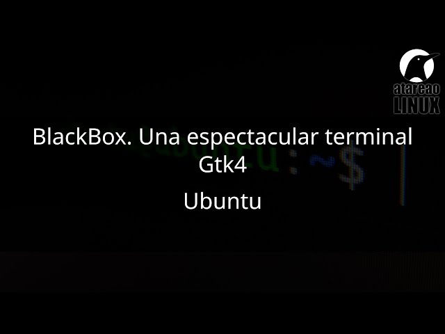 Black Box una espectacular  terminal Gtk 4 llega al ecosistema Linux