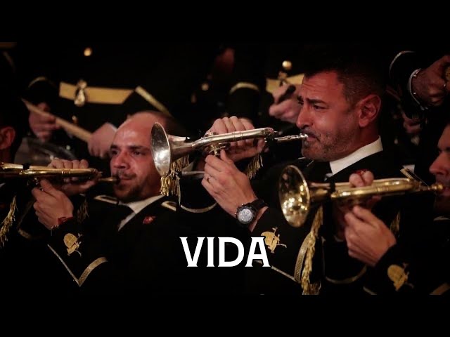 [4K] Vida | Concierto San Esteban | Virgen de los Reyes