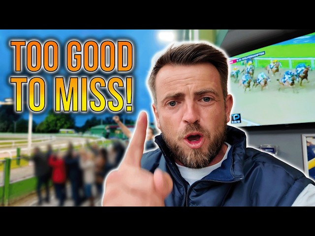 Betting On DOGS and HORSES at Nottingham! | Can SD Racing Help Me Win Money?