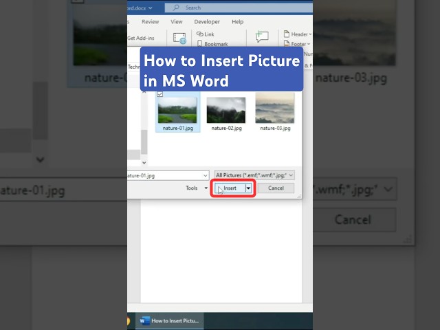 How to Insert Picture in MS Word #shorts #msword