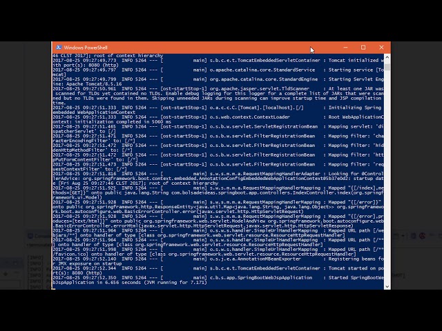 Despliegue y ejecución desde consola