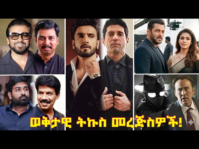 ✅ረንቢር ሲንግ ከቦሊውድ ታገደ እያነጋገረ ነው? የዶን 3 ውዝግብ እና የሰልማን ካን አዲስ አክሽን | Bollywood News ቦሊውድ ወቅታዊ  215ኛው
