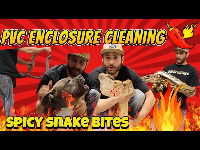 This bite was too close for comfort