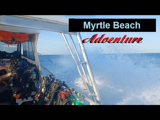 Exploring the Greenville Wreck: Myrtle Beach’s Most Underrated Dive Site