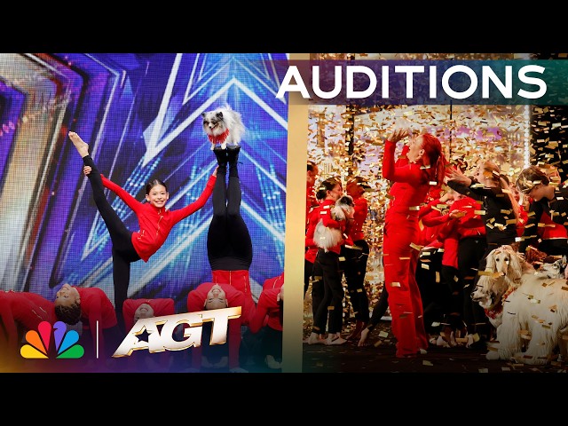 Golden Buzzer: Acro Canine Crew Has Terry Crews RACING To The Stage! | Auditions | AGT 2026