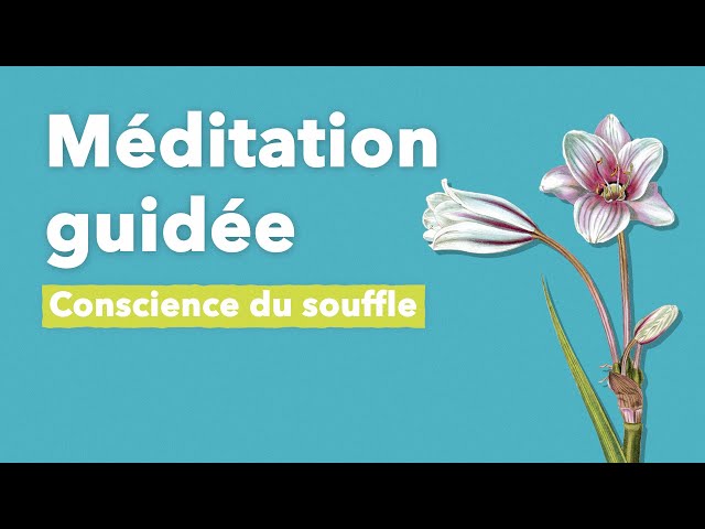 Meditate with Christophe André