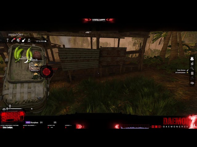 Green Hell (K & Co.) - Day 1 | Story Playthrough • RTX 3060 • Gameplay