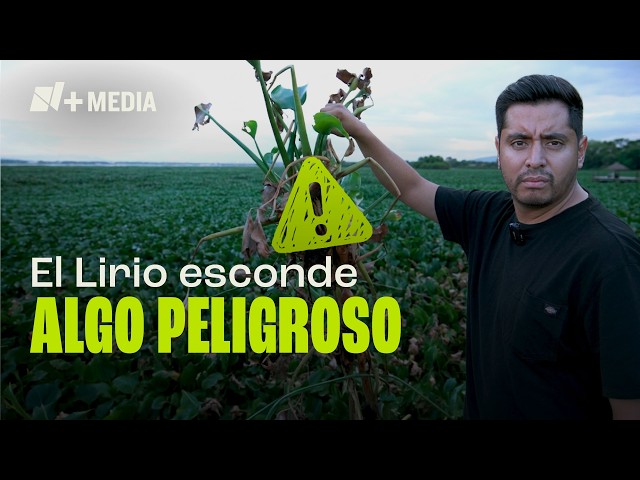 Tu drenaje en Ciudad de México está provocando un infierno ambiental