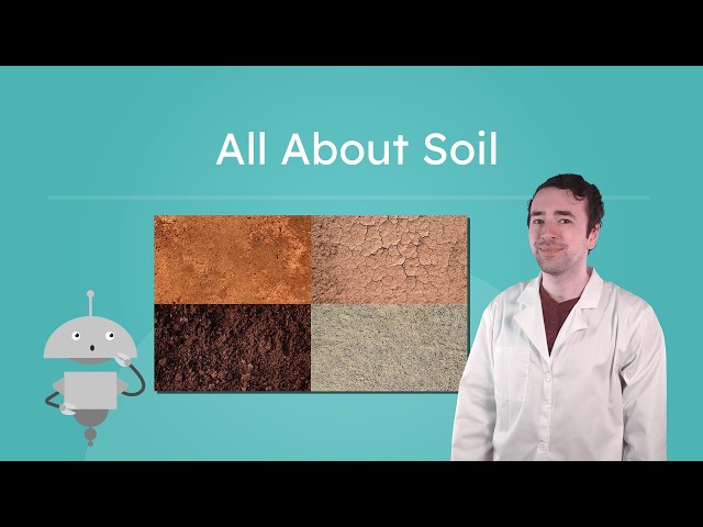 All About Soil - Types of Soil and How They're Formed