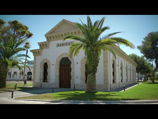 📷🤝 Exposición ‘Alicante, Transición y Concordia’