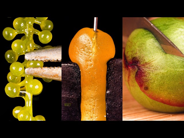 8 Minutes of Oddly Satisfying Macro Experiments