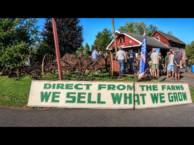An Auction Straight Out Of American Pickers!