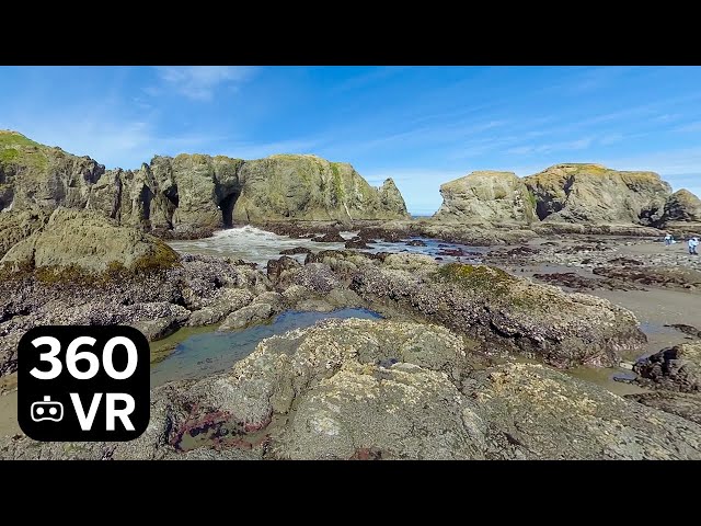 360 8K - Beach at Coquille Point, Bandon Oregon