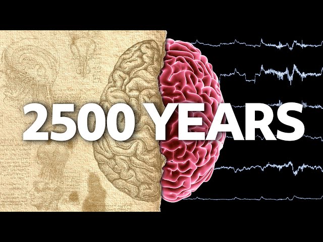 A (Brief) History of Brain Sciences