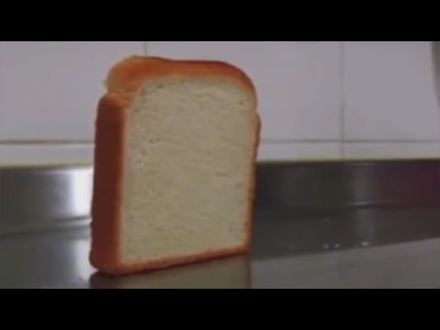 bread falling video on repeat ×99