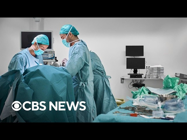 The roller coaster popularity of plastic surgery
