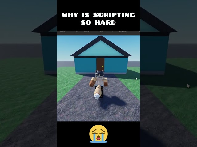 Why is scripting so hard?😭#roblox #script #furry #meme #memes #robloxstudio