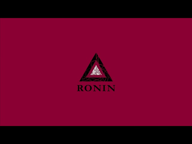 Zack Hemsey - "Don't Get In My Way"