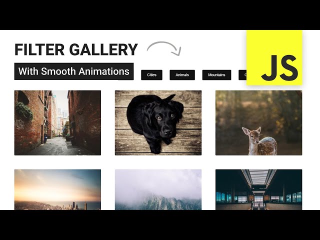 Javascript Filter Gallery With Smooth Animations | Quick Tutorial