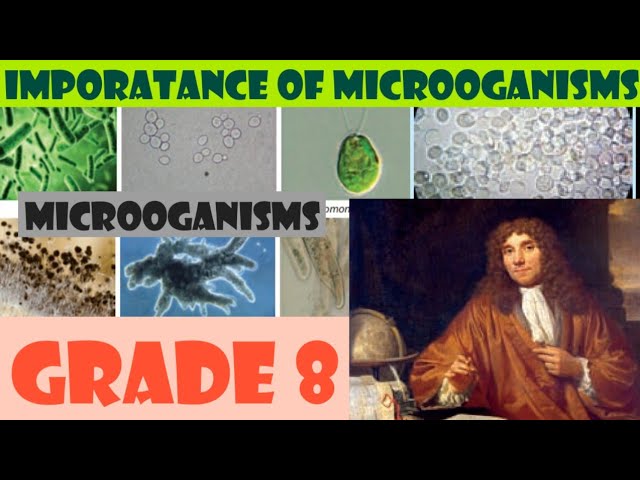 Importance of microoganisms|grade 8| science| english medium| microorganism|1 unit