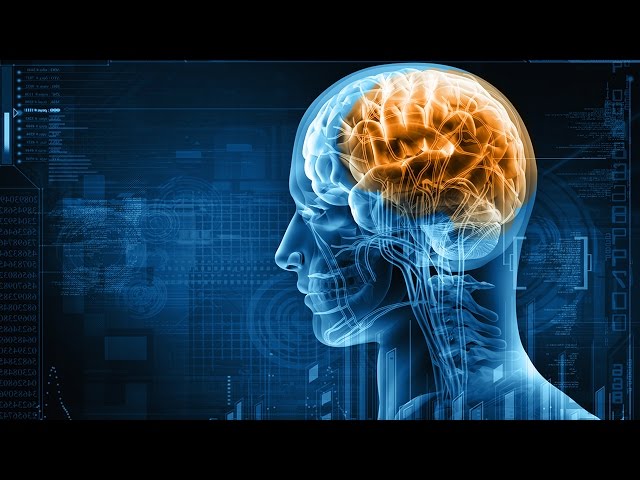 Digital Evolution: Is smart tech making us dumber?