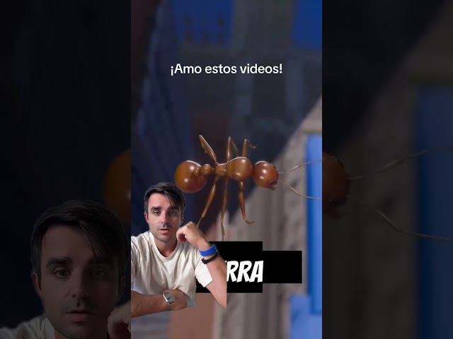 I love these videos 😆🤣 #ant #humor #shorts