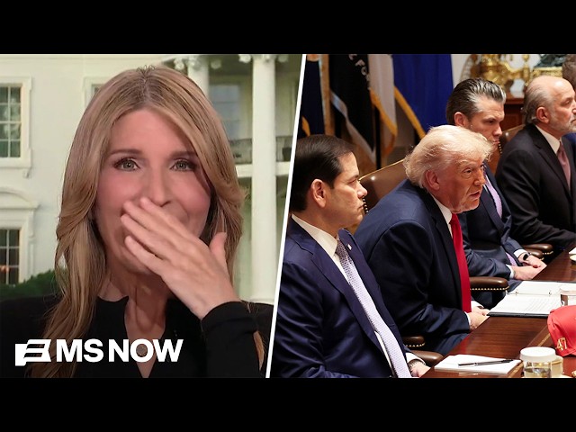 'I didn't think people could ACTUALLY act that way': Nicolle CRINGES at Trump's SYCOPHANTIC Cabinet