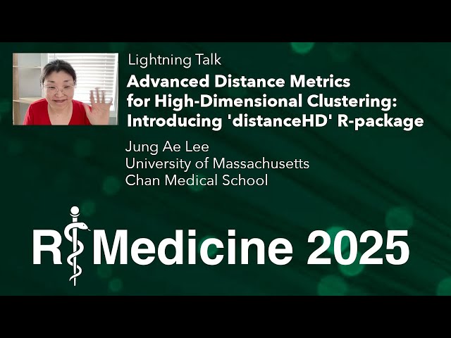 Advanced Distance Metrics for High-Dimensional Clustering: introducing 'distanceHD' R-package
