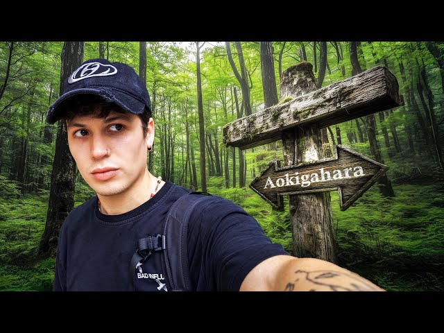 I entered alone the darkest forest in Japan, Aokigahara