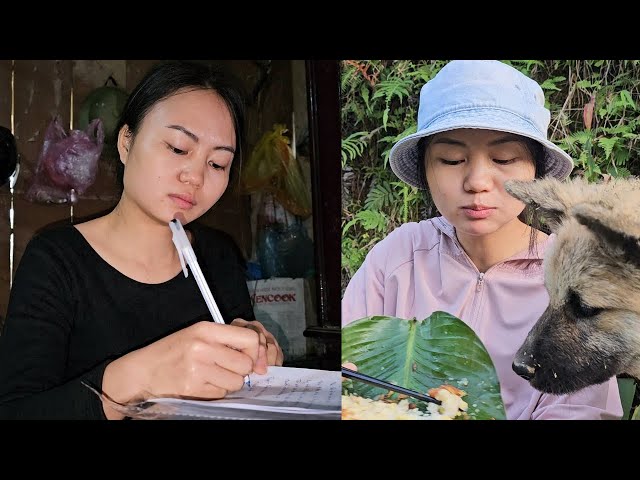 Ly Tu Chao decides to divorce her cruel husband to prepare for a new life.