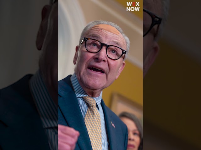 Schumer promises litany of actions to halt Trump’s anti-weaponization fund