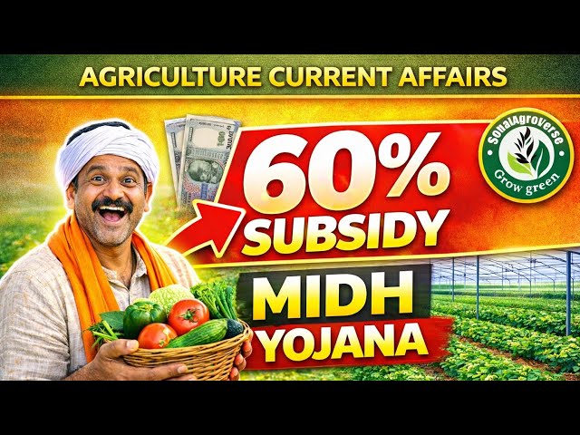 MIDH Horticulture Scheme: Government Subsidy Up to 50% | How to apply?MIDH Yojana #midh