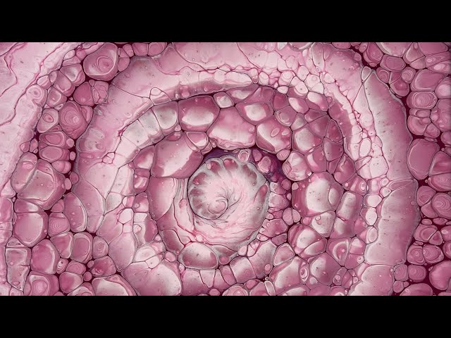 (529) Monochromatic Cloud Pour - Straight Pour - Cells No Silicone - Fluid Art