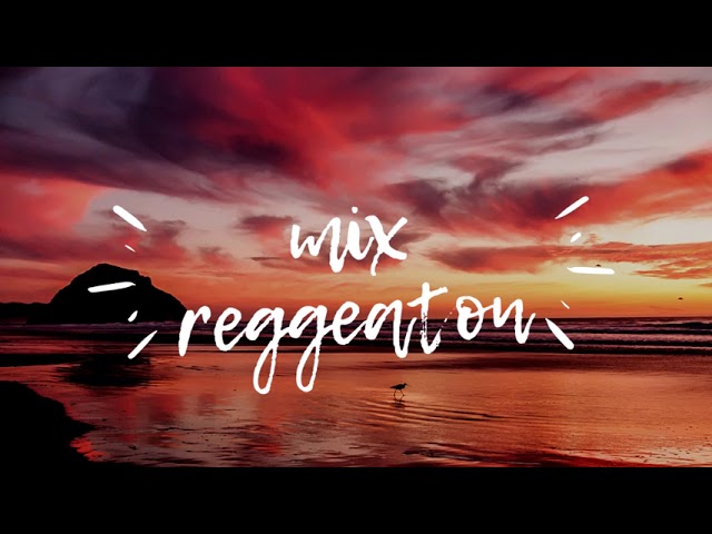 MIX moombahton 2023 // Don Omar, Dj Snake, Daddy Yankee, Rihanna...