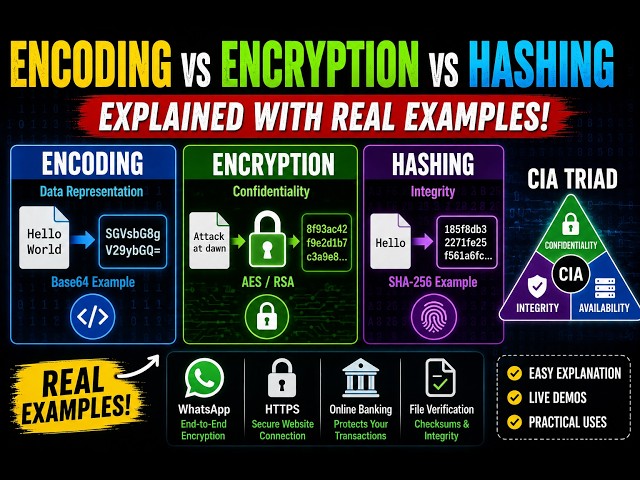Stop Confusing Encoding, Encryption & Hashing | Cybersecurity Fundamentals